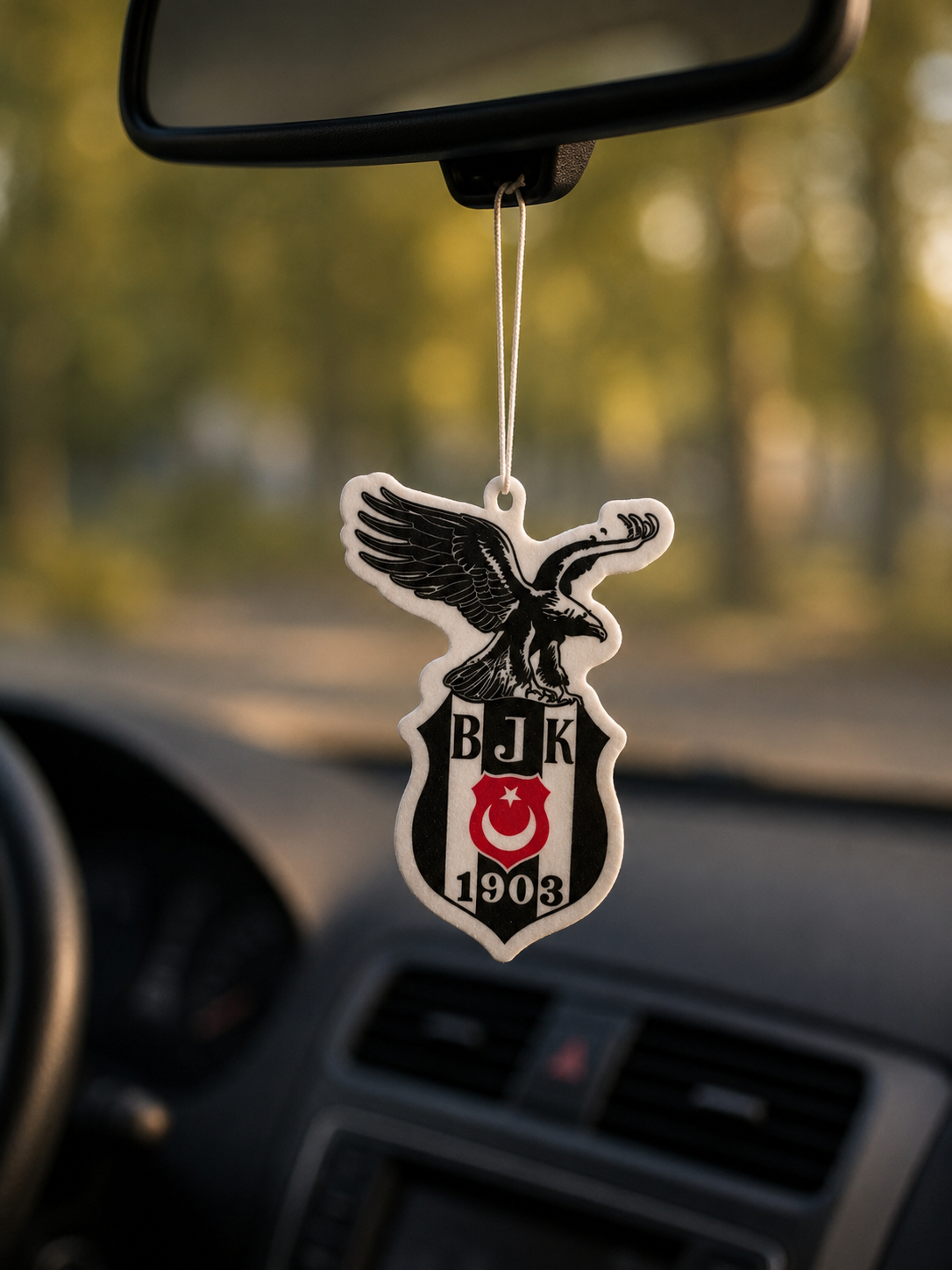 Beşiktaş Autogeur