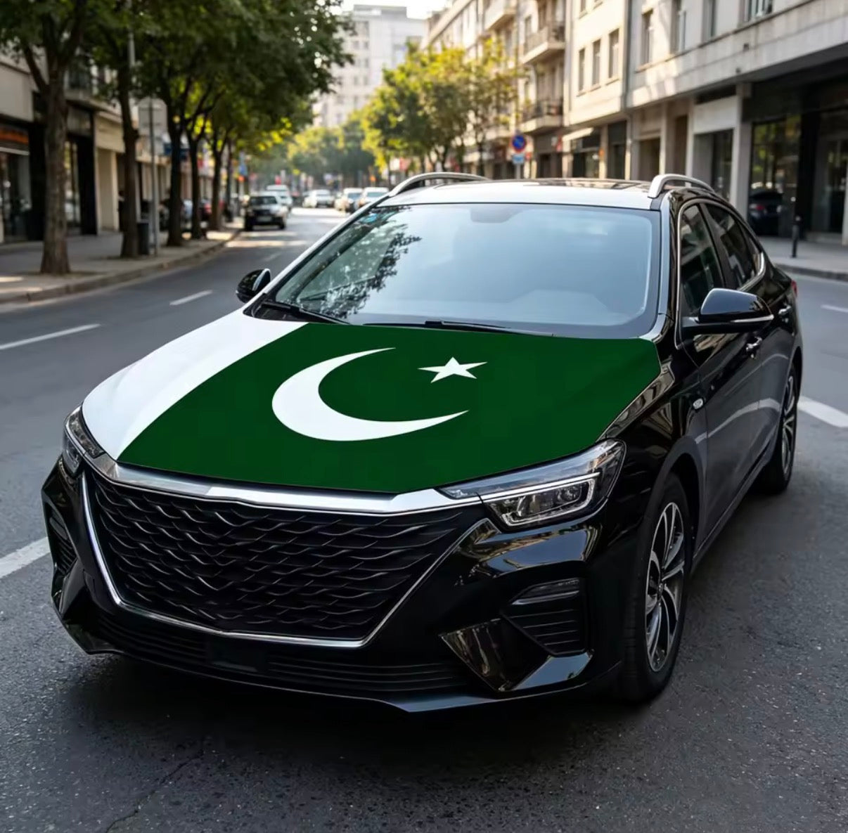 Pakistaanse Motorkap Vlag